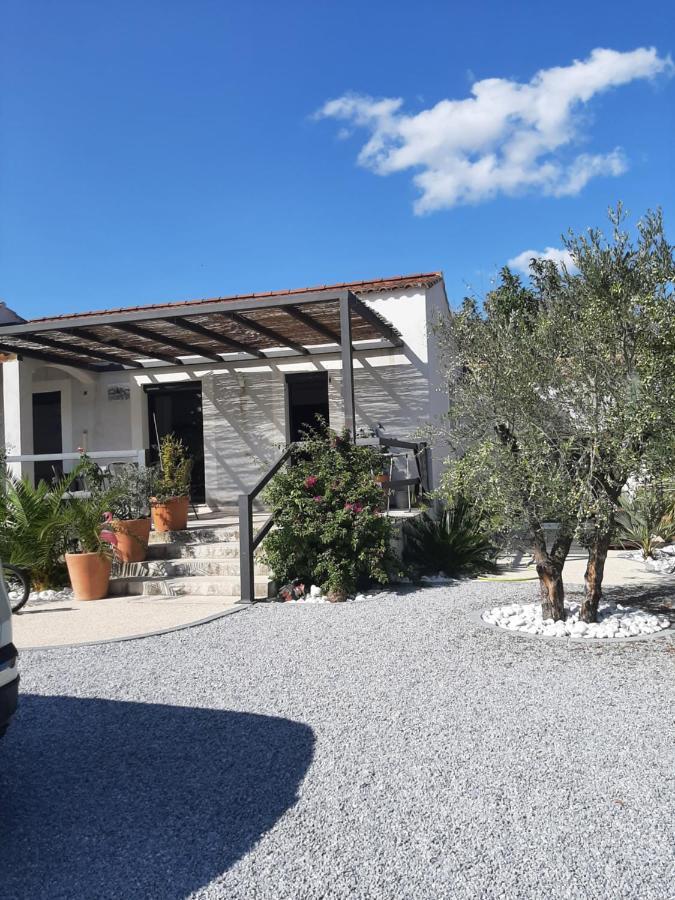 Chez Monique Et Remi Ξενοδοχείο Αβινιόν Εξωτερικό φωτογραφία