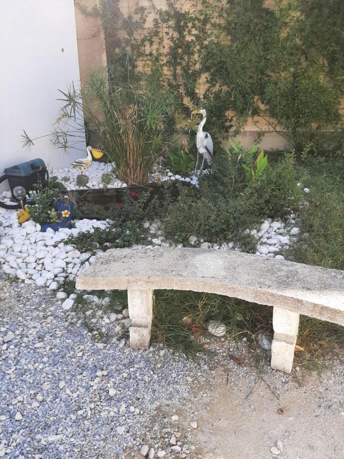 Chez Monique Et Remi Ξενοδοχείο Αβινιόν Εξωτερικό φωτογραφία